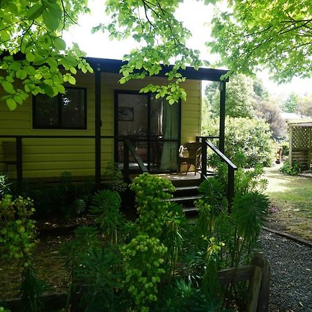 גרייטאון Ivy'S Cottage מראה חיצוני תמונה