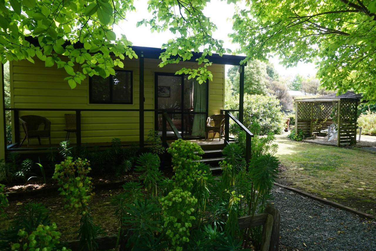 גרייטאון Ivy'S Cottage מראה חיצוני תמונה